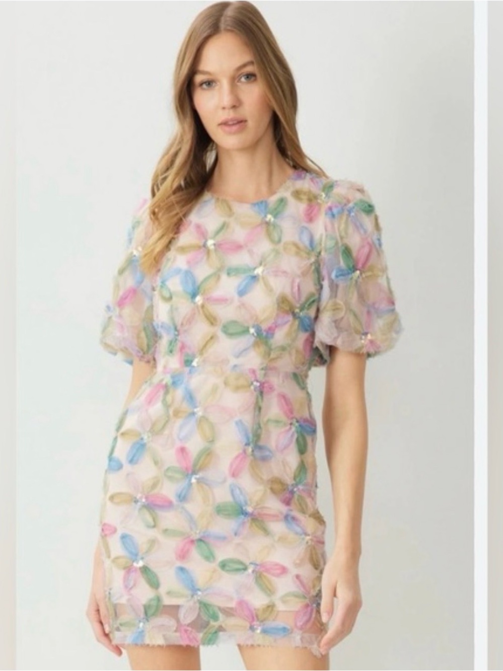 entro 3d Multicolor Floral Applique Dress